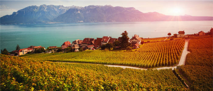View of Lake Geneva