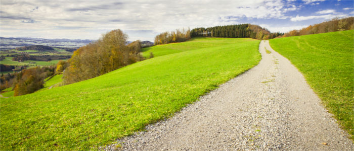 View of a hiking trail from the Albis