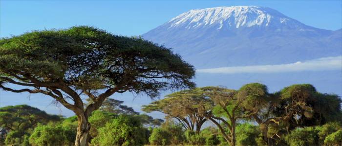 The Kilimanjaro in Tanzania