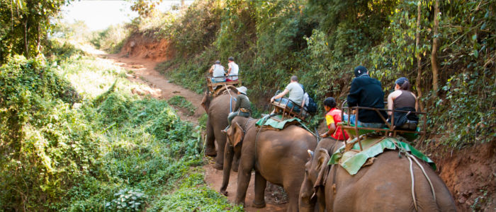 Elephant tours in Thailand