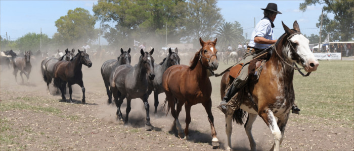 Gaucho in Uruguay