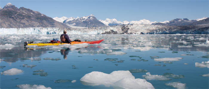 Kayaking between glaciers and ice floes