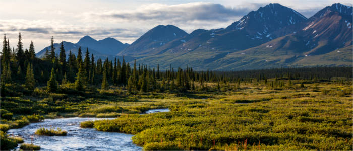 The tundra in Alaska