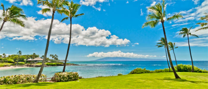 Beach on Maui