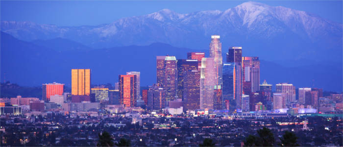 View of Downtown L.A.