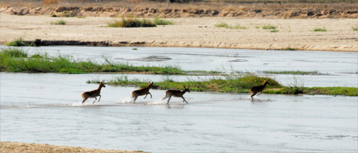 National Park in Zambia