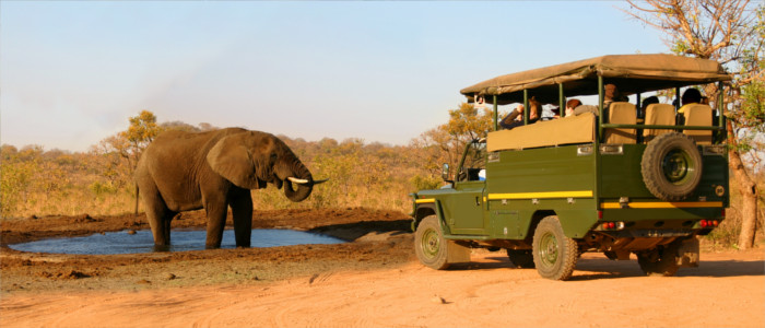 Safari in Zambia